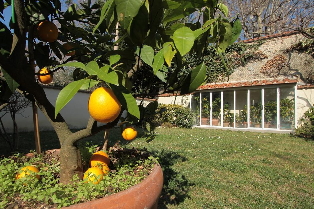 Il Diospero B&B Florence Extérieur photo